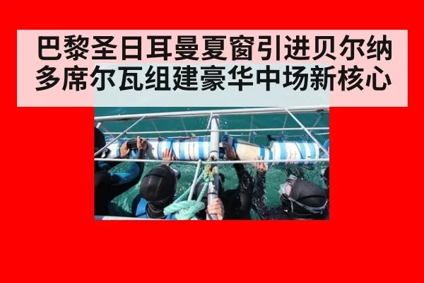 巴黎圣日耳曼夏窗引进贝尔纳多席尔瓦组建豪华中场新核心